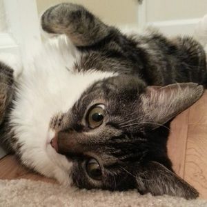 Meet your Posher, Julie